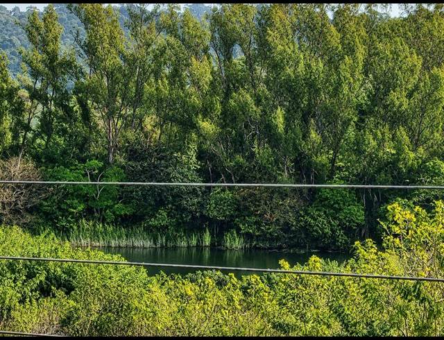 FARM FOR SALE IN LEISURE BAY